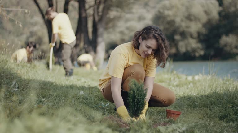 Best Lawn Renovation and Restoration  in Kingfisher, OK