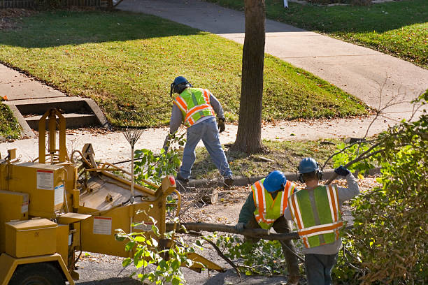 Best Lawn Pest Prevention  in Kingfisher, OK
